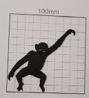 wp00bad08e.png