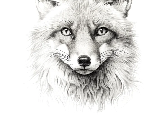 wp2b7b32c8.png