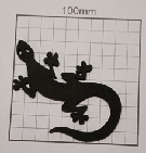 wp9702383a.png